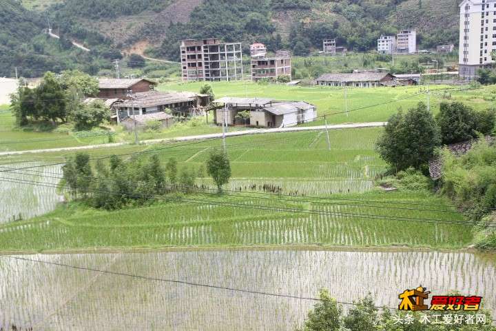 _MG_5693.JPG