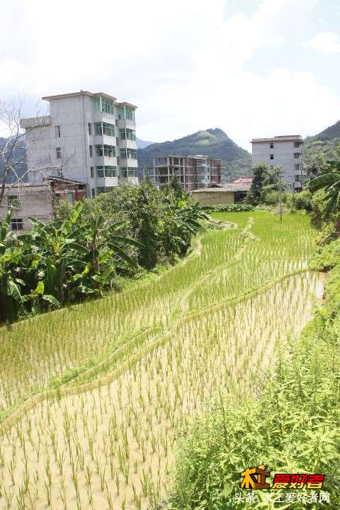 _MG_5707.JPG