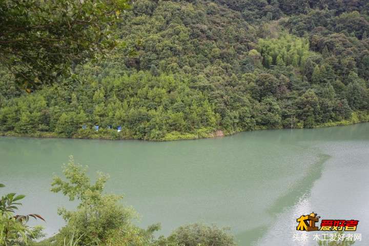 _MG_5728.JPG