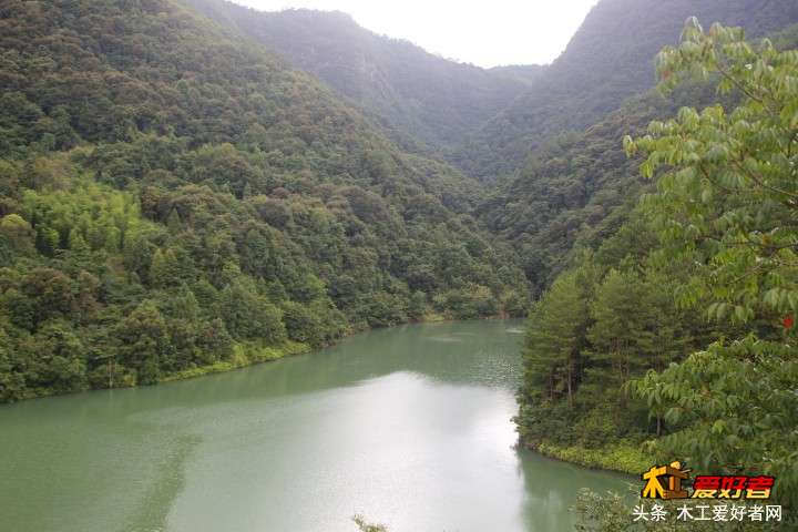 _MG_5730.JPG