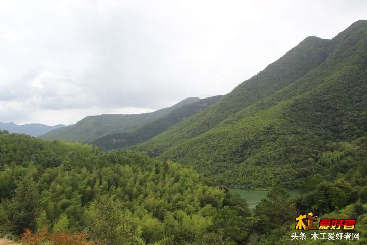 _MG_5741.JPG