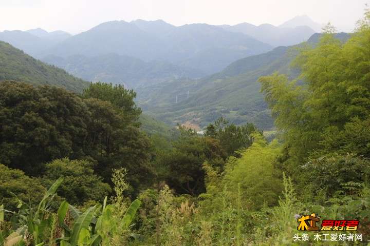 _MG_5761.JPG