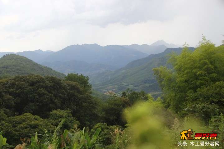 _MG_5767.JPG