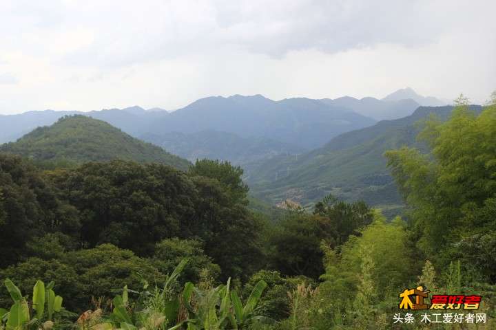 _MG_5769.JPG