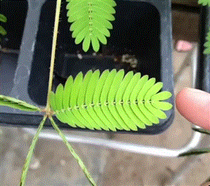 1539561653438.gif