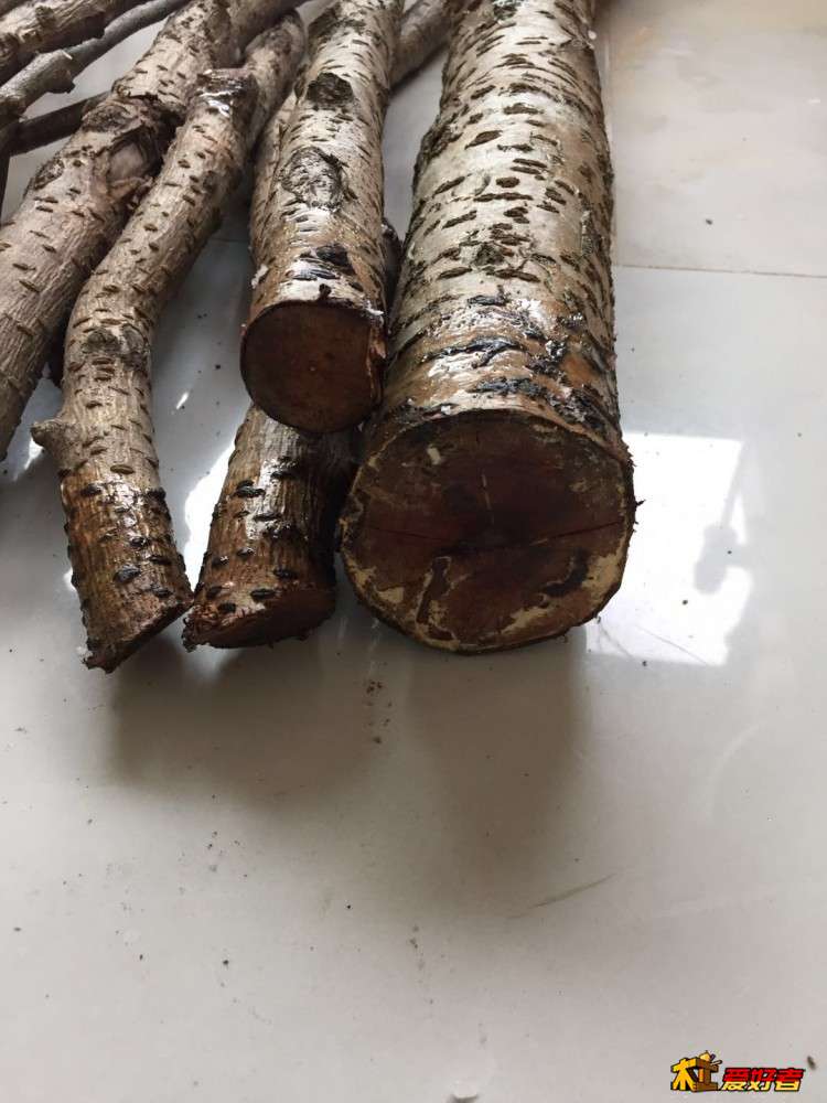 1-封蜡后端头.jpg