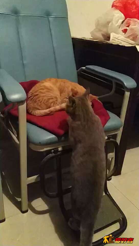163608mmywgmunwo0cmmkv.jpg