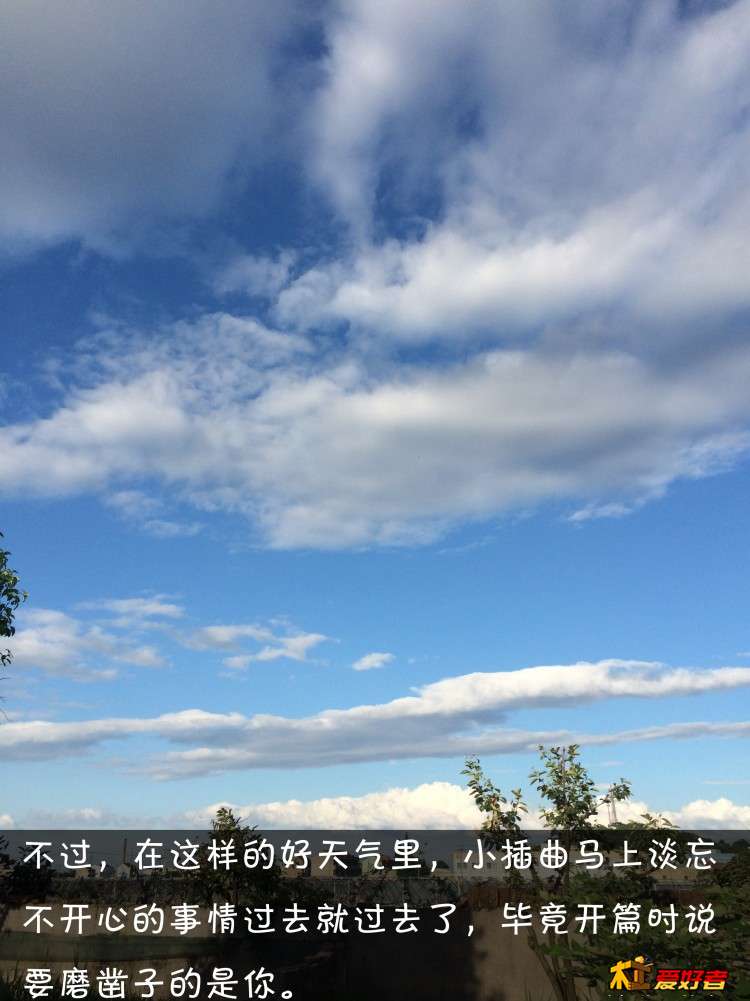88.jpg