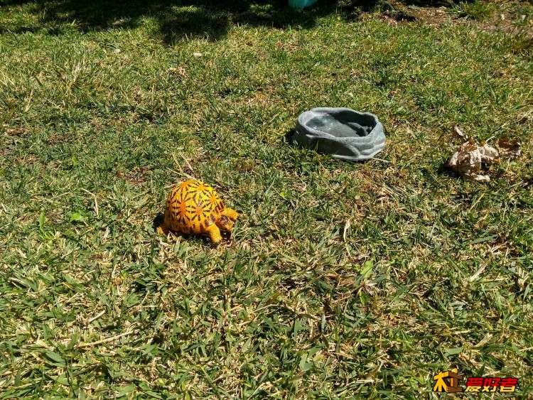 IMG_20180802_150053007_HDR.jpg
