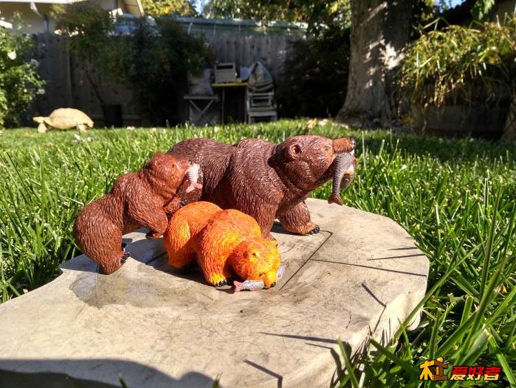 IMG_20181018_151059640_HDR.jpg