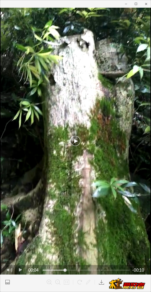 1555120128(1).png