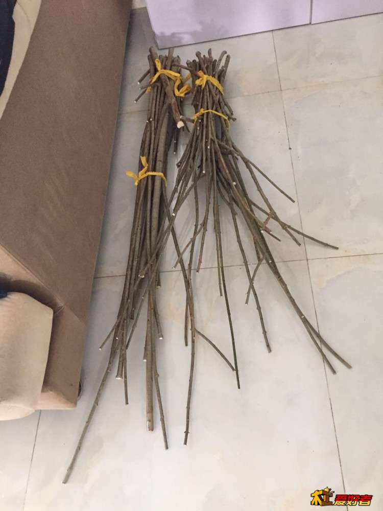 6-5-全部封蜡完成，一年后再用.jpg