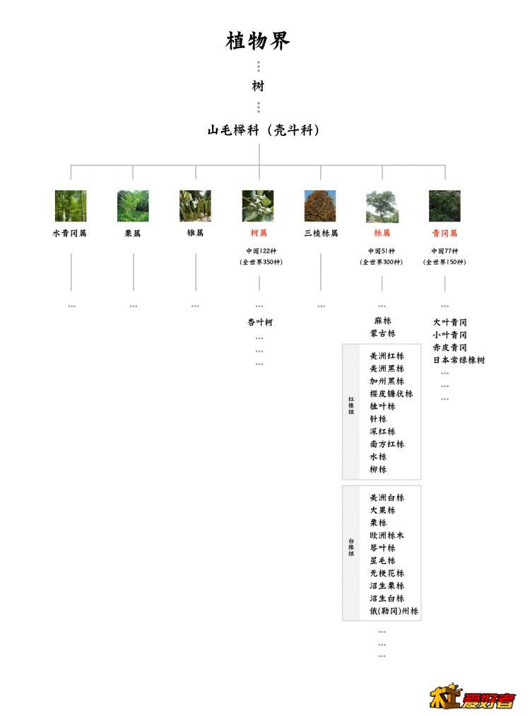 未标题-2.jpg