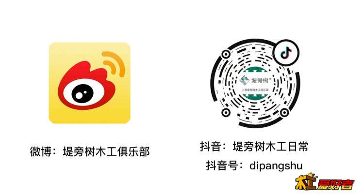 微博抖音平台.jpeg