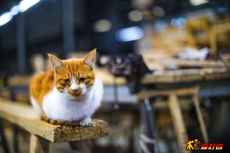 微信图片_20210117193113.jpg