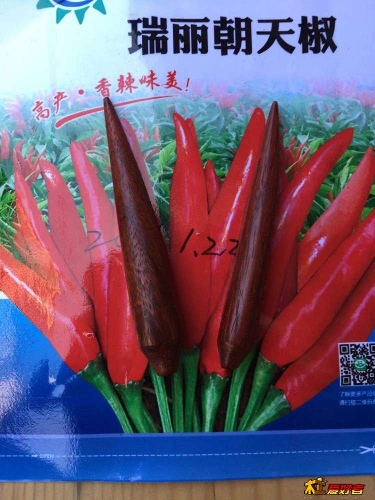 5-4-看看像不像朝天椒.jpg