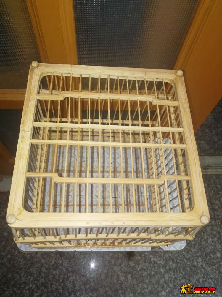 IMG_20210228_161537.jpg