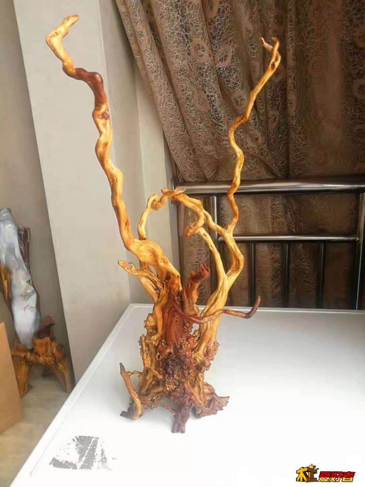 微信图片_20210428145205.jpg