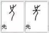 捕获先.JPG