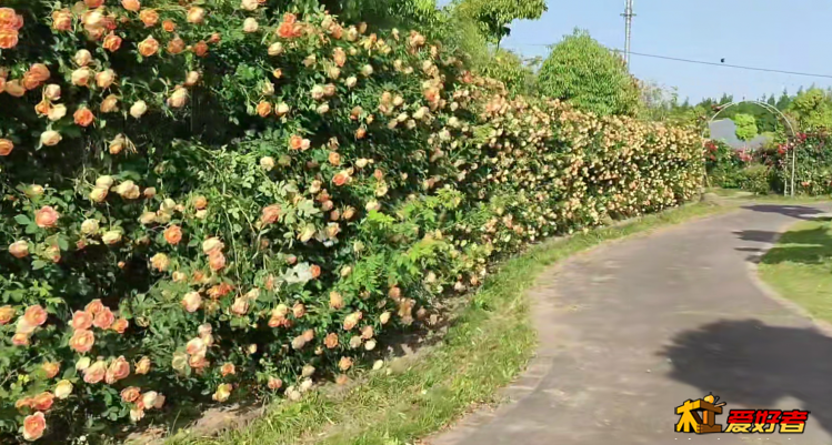 微信截图_20210909211609.png