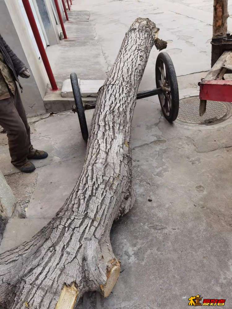 微信图片_20211209100656.jpg