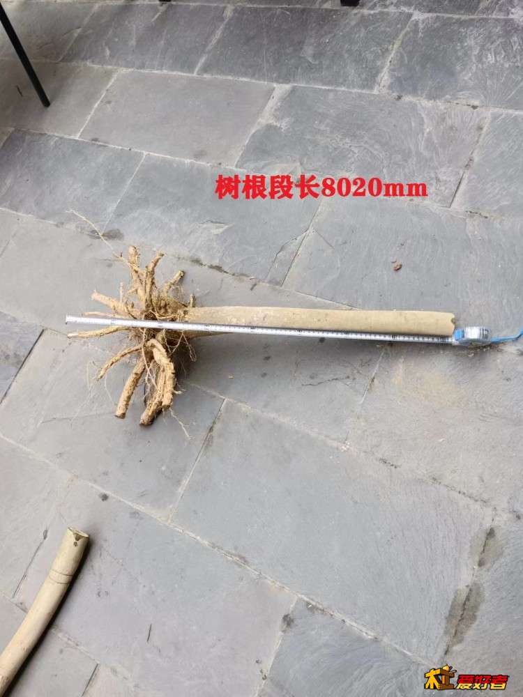 2-6-树根段长8020mm.jpg
