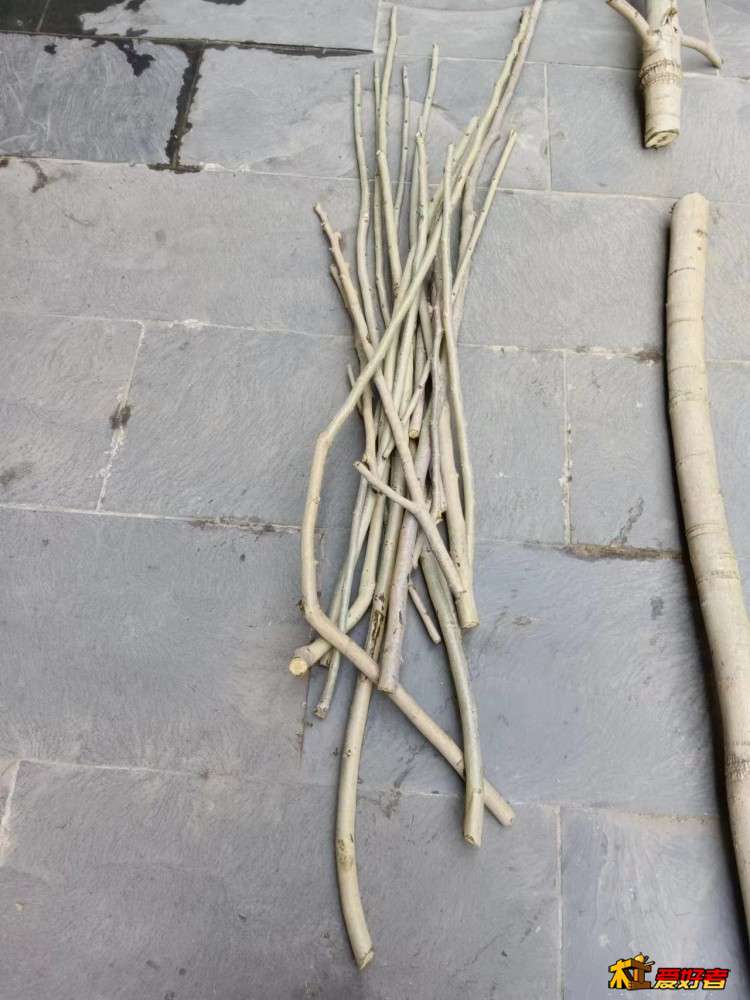 2-8-一堆树枝.jpg