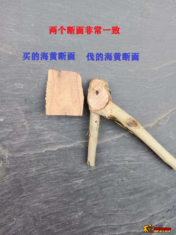 3-3-切口与买的海黄料头非常一致.jpg
