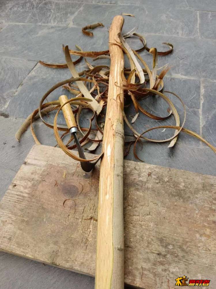 3-4-剥树皮.jpg