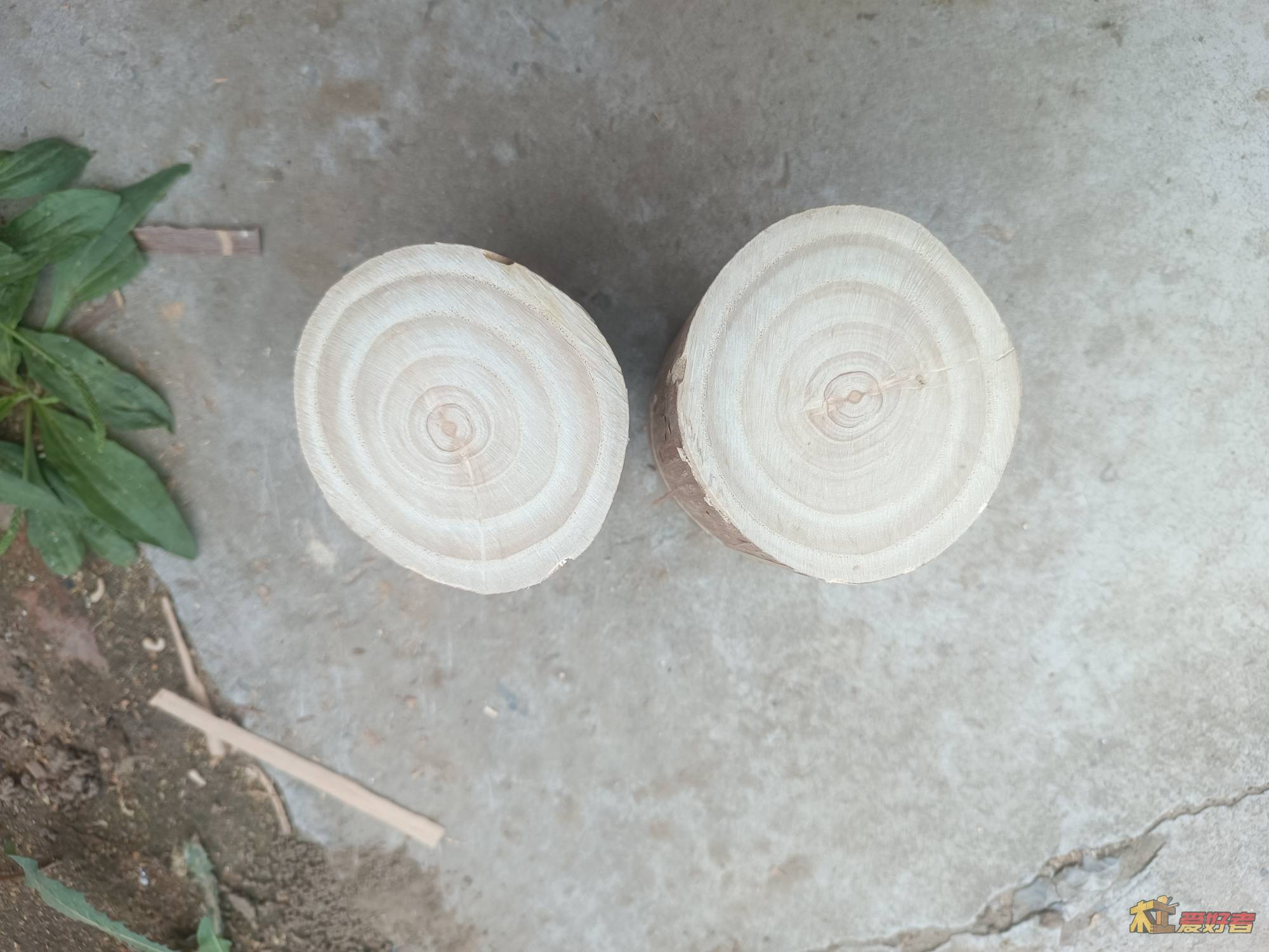 20
