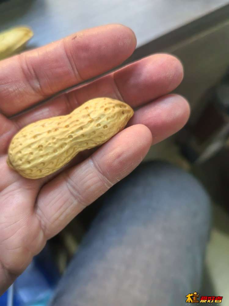 微信图片_20260117214525_168_26.jpg