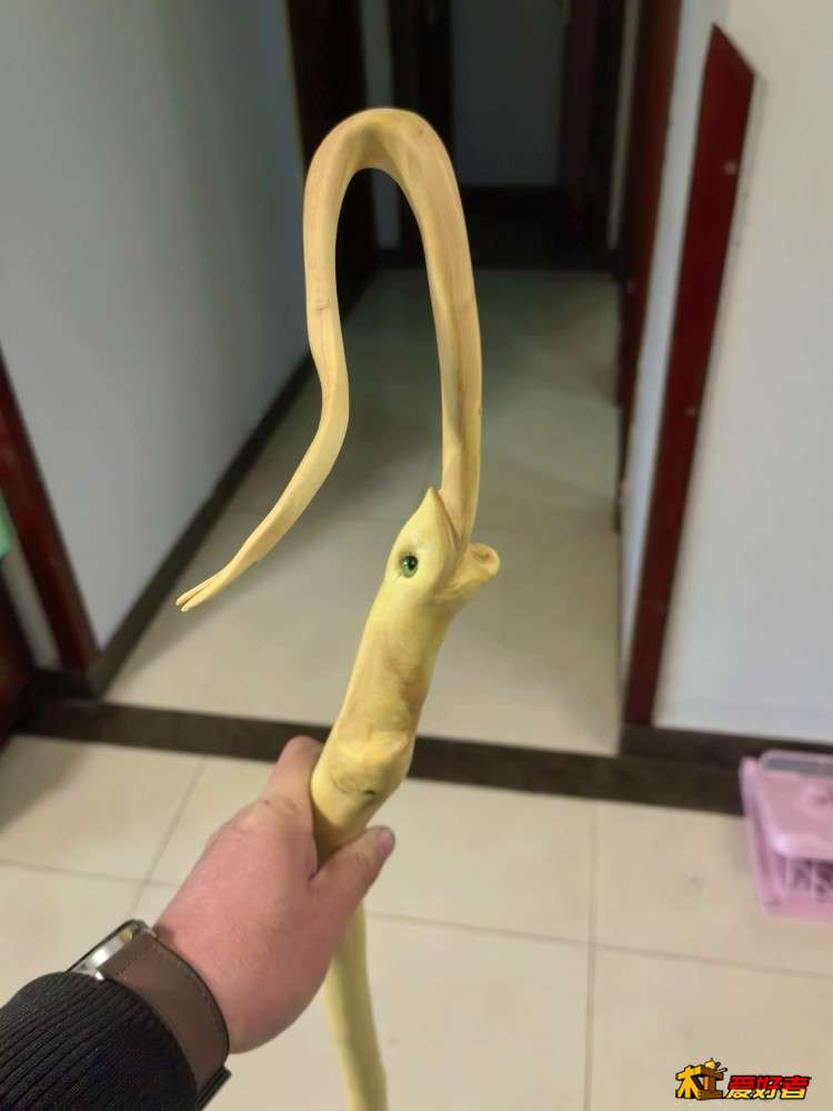 微信图片_20260119095000_195_26.jpg