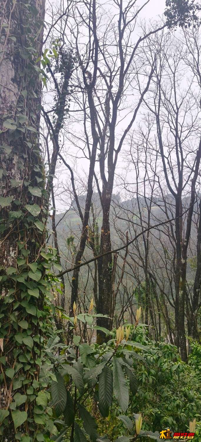 IMG20260217180312.jpg