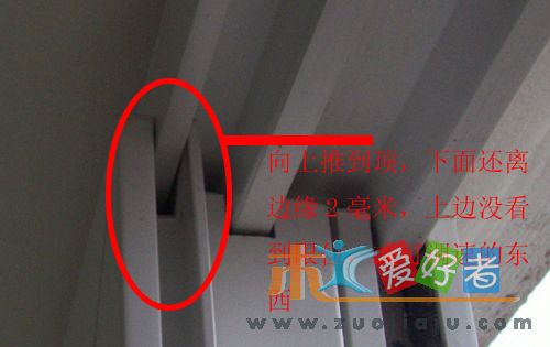 纱窗上.jpg