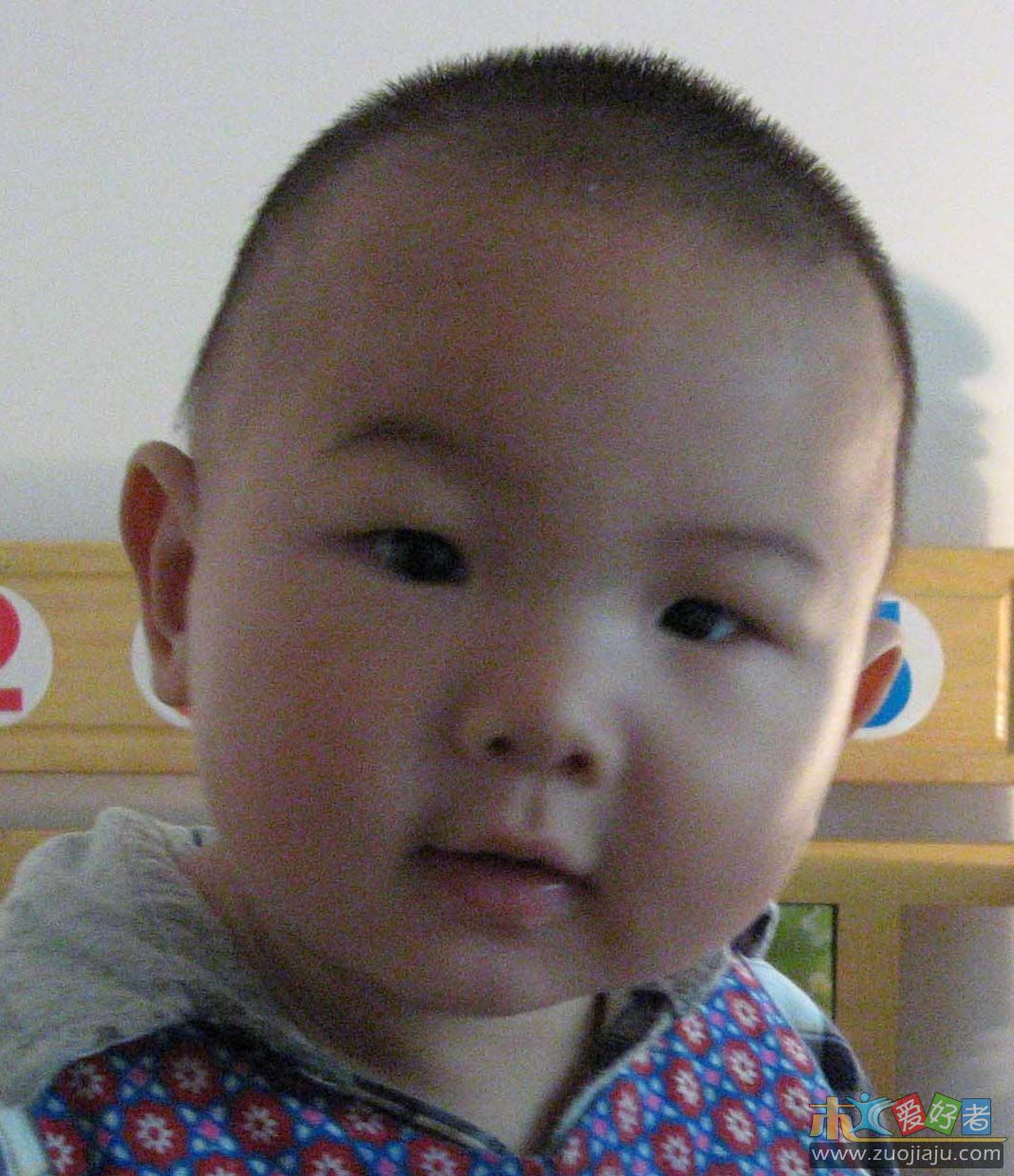 07.9.10桐7.jpg