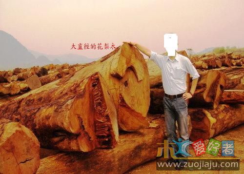 花梨木原木6.jpg