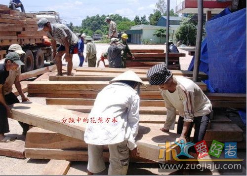 花梨木方料8.jpg
