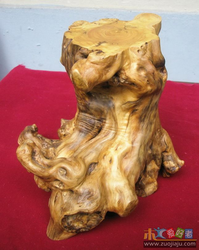 黄杨树桩-05.jpg