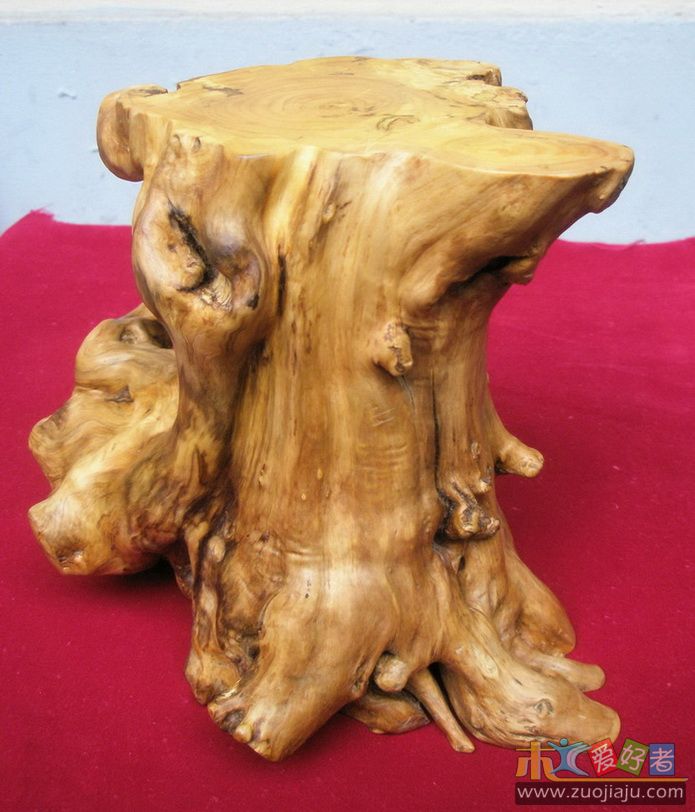 黄杨树桩-04.jpg