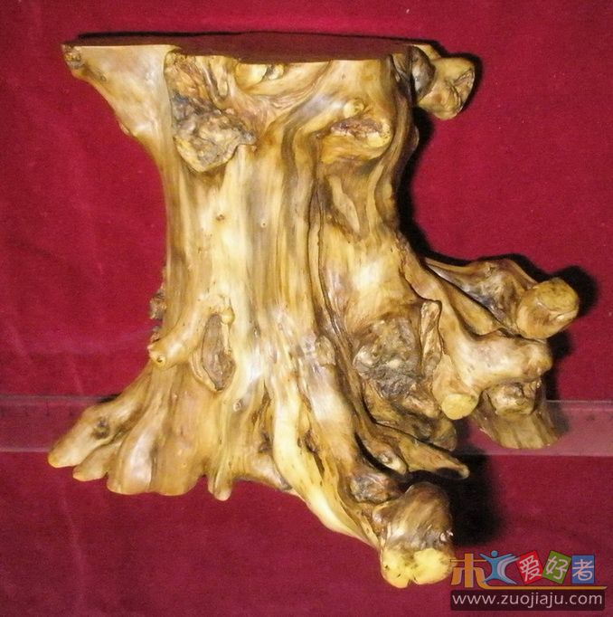 黄杨树桩-10.jpg