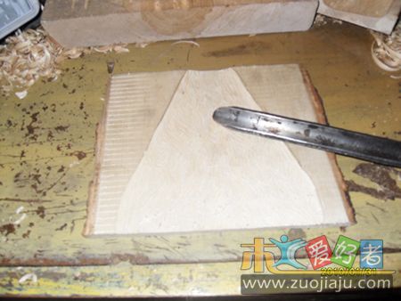 SDC12447.jpg