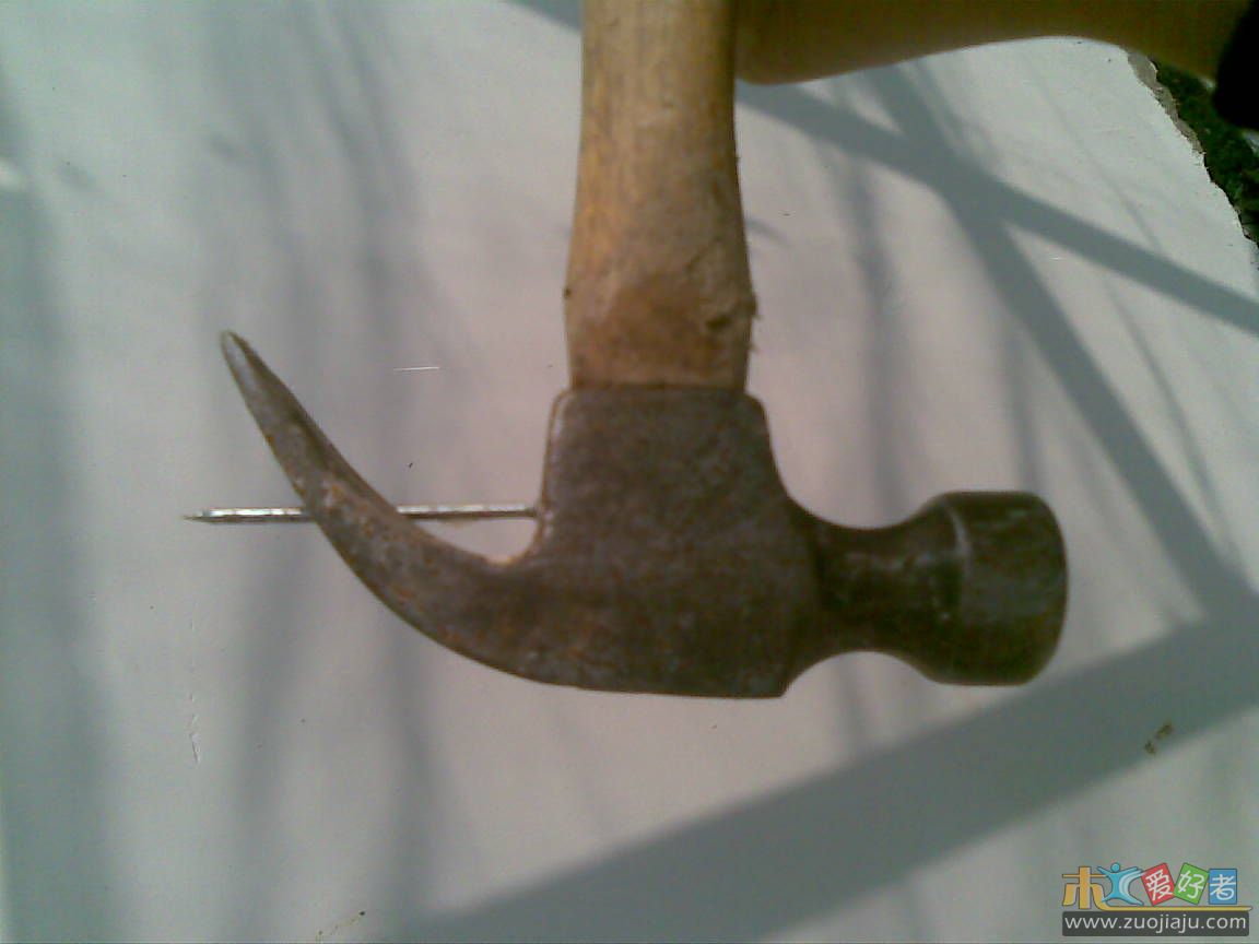 20100423(004).jpg