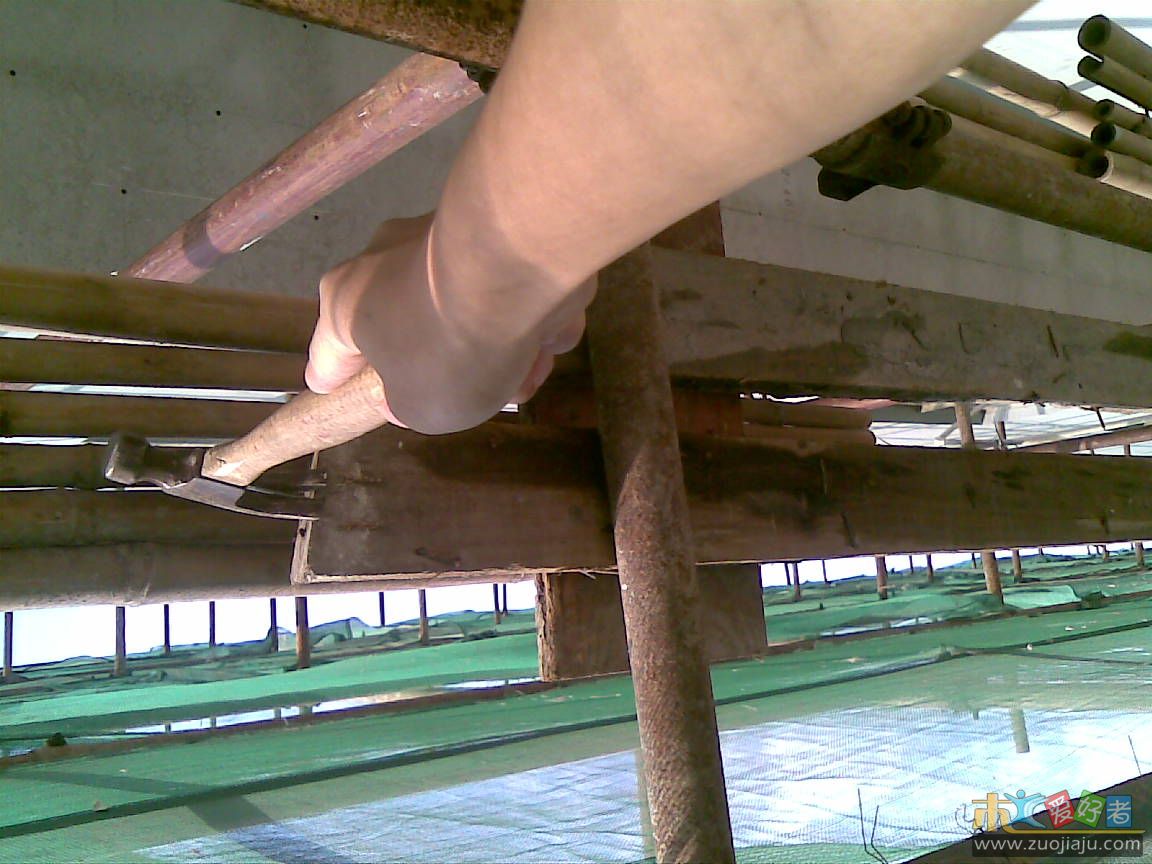 20100423(002).jpg
