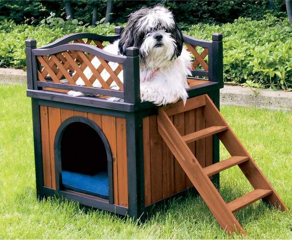 pet005.jpg