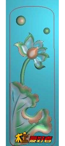 荷花68