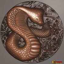 圆蛇灰度图