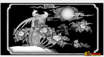 花鸟