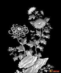 菊