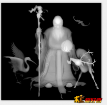 老寿星